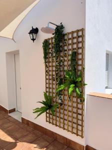 Superior guest house-Ideal PAREJAS