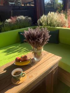 Apartamenty SAUNA BANIA