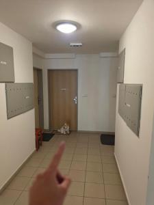 HifiKlubBrno Apartment Komin AIRCONDITION and PARKING