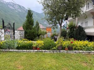 Bungalow-Guest House Alpina