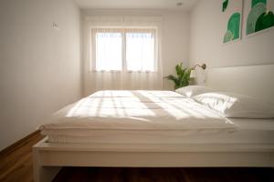 Start Point Apartments
