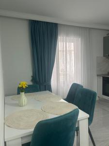 Borșa ApartHotel 4