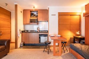 HOM I Studio en Valle Nevado Valle Condores 1
