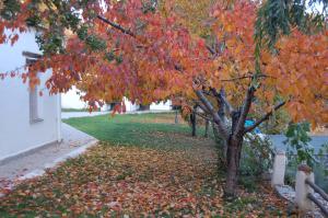 Camping El Balcon de Pitres