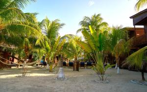 Coconut by ÓOL Hotels