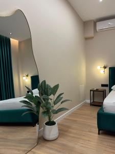 Olivium Rooms