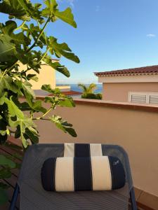 Arena Lodge - Los gigantes