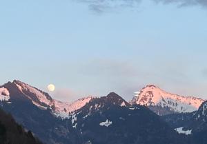 BergSee Apartament Laax