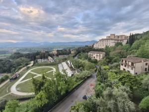 B&B Home XIX