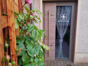 Kochstedter Wohnstuben - Fewo mit Naturbaustoffen in der Bauhausstadt Dessau - hundefreundlich - ebenerdig - mit Garten - Parkplatz inklusive