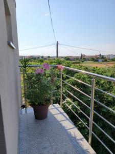 Apartments Amfora Valbandon