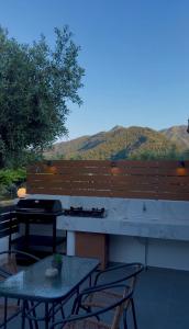 Emerald Dream Oasis Studio