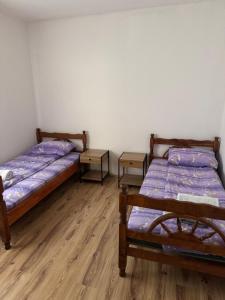 Apartment Pantovic