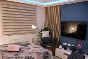 Apartman Spa Bačka