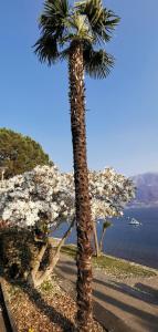 Lake Maggiore Waterfront Retreat - Walking distance to Everything
