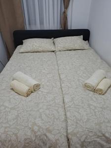 Apartman Ɗana