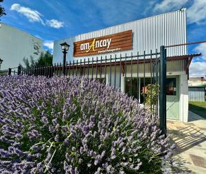 Amancay, Hostal Patagonico