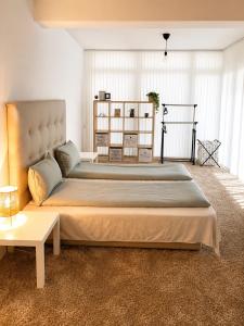 Vitosha Blvd Spacious and Quiet Apartment in Gallery