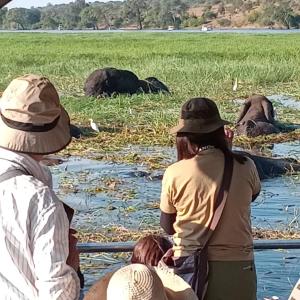 Chobe Kulotu Guest House