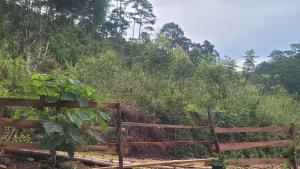 Mộc Tín Farmstay