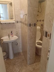 Pet Friendly Apartment Ground Floor