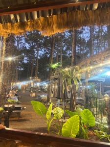 Mocana Homestay & Coffee
