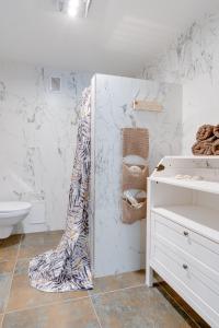 Apartamentai su SPA ir terasa 6 asm
