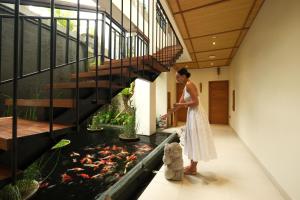 MJ House