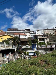 Figueira River House