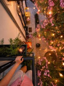 Massimo Secret Garden