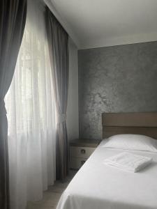 Borșa ApartHotel 4