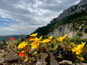 Le Terrazze Sul Pollino B&B