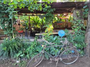 Backyard Eco Bungalows Moshi
