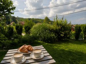 Slow Living Retreat near Zagreb - Fast WiFi - Workspace - Pet Friendly