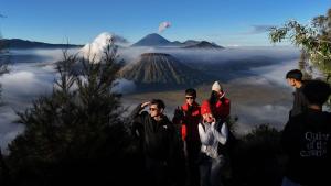 Shelter Ijen tour bed and breakfast