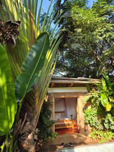 Backyard Eco Bungalows Moshi