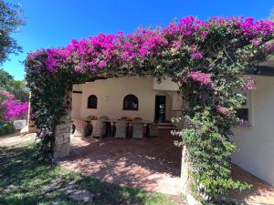 Villa Girasole
