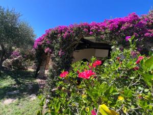 Villa Girasole img76