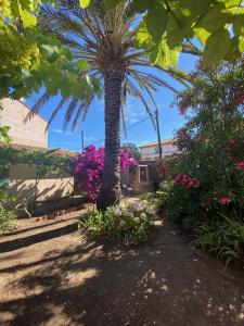 Villa de plein pied à proximité du port de Porquerolles
