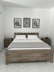 Costelia Studio