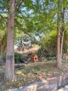 Apartman Jana