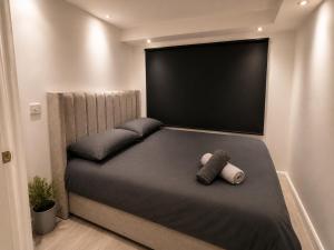 Studio 45
