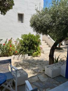 Paros Philoxenia