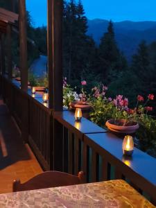 Eco Mountain Green House