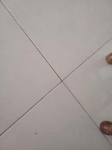 Appartement niema