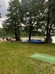 Borowy Glamp więcej niż domki