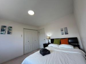 Home Base Quiet Queen Rooms