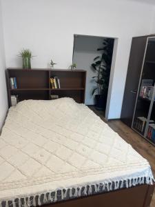 Bookworm Ultracentral Cozy, ultracentral apartment for people who appreciate comfort, details and books