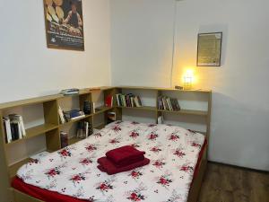 Bookworm Ultracentral Cozy, ultracentral apartment for people who appreciate comfort, details and books