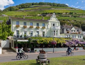 Hotel Schön am Rhein